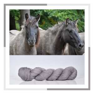 Tarpan 'ALPACA SILK' DK